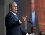 Bush Trump