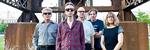 the feelies