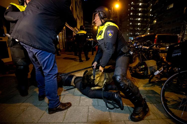 En betjent ser ud til at have mistet kontrollen over sin politihund, der bider en demonstrant under protesterne i Rotterdam. 