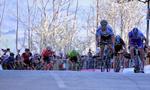 Verdensmesteren Peter Sagan lægger kræfterne i og holder Thibaut Pinot bag sig i finalen på 5. etape i Tirreno-Adriatico. Foto: La Presse-D'Alberto/Ferrari. 