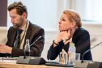 Udlændinge-, integrations- og boligminister Inger Støjberg (V) måtte i går bruge pauseknappen på regeringens forslag om at gøre det nemmere for vellønnede udlandsdanskere og deres familier at komme ind i landet - modsat mindre vesltillede.  