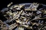 61155746-16_03_2017-Test af tangpasta-NISSEN MADS