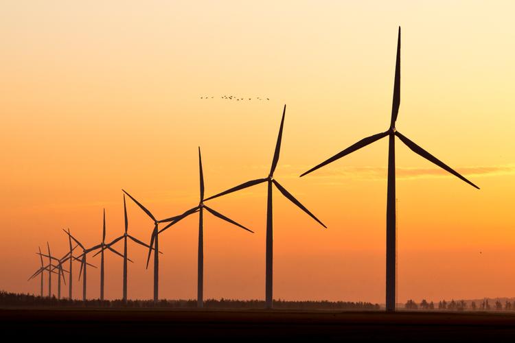 Vattenfall er langt med planlægningen af en større vindmøllepark ved siden af de 13 vindmøller i Nørrekær Enge ved Limfjorden.  Det er et af de projekter, som ikke når at blive klar, før de nuværende støtteregler udløber. 