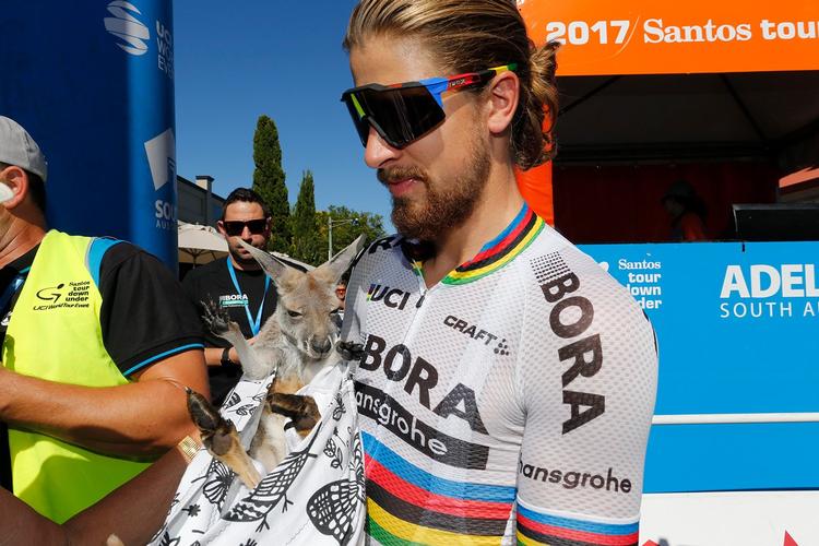 Peter Sagan forstår at tiltrække sig opmærksomhed og skabe sig venner overalt, hvor han kommer frem. Her poserer han med en kænguruunge under årets Tour Down Under. 