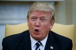 Trump US Egypt