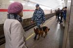 En politibetjent og hendes hund patruljerer metrostationen Teknologisk Institut i Sankt Petersborg, hvor mandagens terrorattentat fandt sted.
 