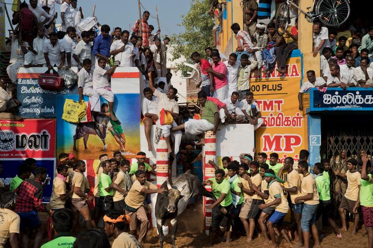 Befolkningsantallet vokser kraftigt i Indien, men også landets økonomi er på vej op. 