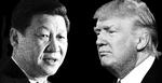 Modsætninger mødes, når Kinas kontrollerede præsident Xi Jinping og USA's uforudsigelige præsident Trump i disse dage skal stå ansigt til ansigt for første gang. 