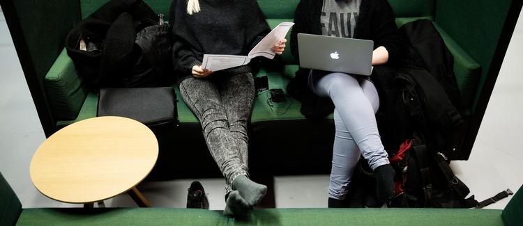 Et nyt udvalg skal give kvaliteten af landets universitetsuddannelser et eftersyn. 