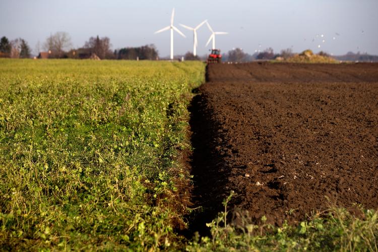 En traktor pløjer en mark nær Tølløse på Sjælland. Det økologiske erhvervsteam vil stille større krav til blandt andet kvælstofsudledning.  