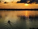 Mekong begynder som smeltet sne i Tibet og snor sig gennem Kina, Burma, Thailand, Laos, Cambodja og Vietnam med forgreninger og bifloder, som er livsgrundlag for 60 millioner mennesker. Her i Cambodja er fiskeindustrien vigtig, og 75 procent af befolkningens animalske proteinindtag stammer fra fisk fra Mekong. 