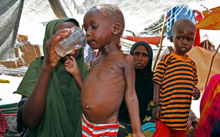 Alene i år skyldes 530 dødsfald i Somalia kolera. 