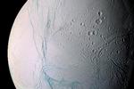 Saturns måne Encaladus med sin tilfrosne overflade fotograferet fra rumfartøjet Cassini. Nasa kunne i dag fortælle, at de har stærke formodninger om, at der er gode forudsætninger for liv på månen. 