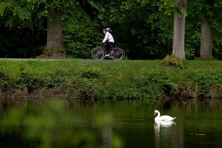Den københavnske cykelapp Ibikecph lader nu også brugerne vælge de grønneste ruter gennem byen. 