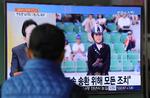 Danmark udleverer svindelsigtet dressurrytter til Sydkorea