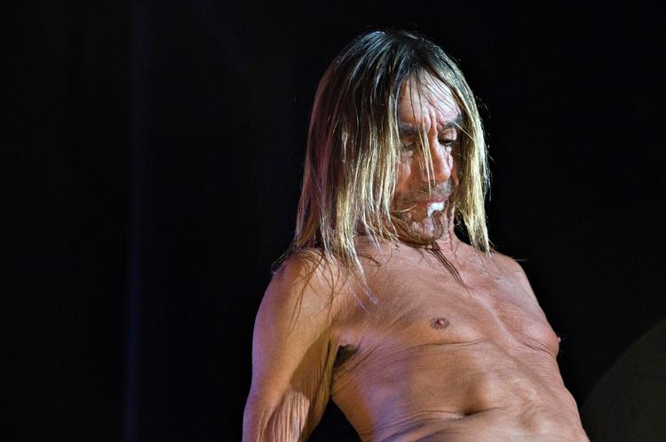 Iggy Pop turnerer stadig og kommer til København til sommer. 
