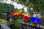 Blomsterfigurerne af glas i den botaniske have i Bronx, New York, står både ude og inde.  