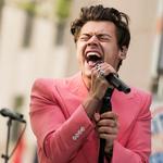 Der er sket meget for Harry Styles, siden han stod foran et skeptisk dommerpanel i det britiske talentprogram 'X Factor'.  