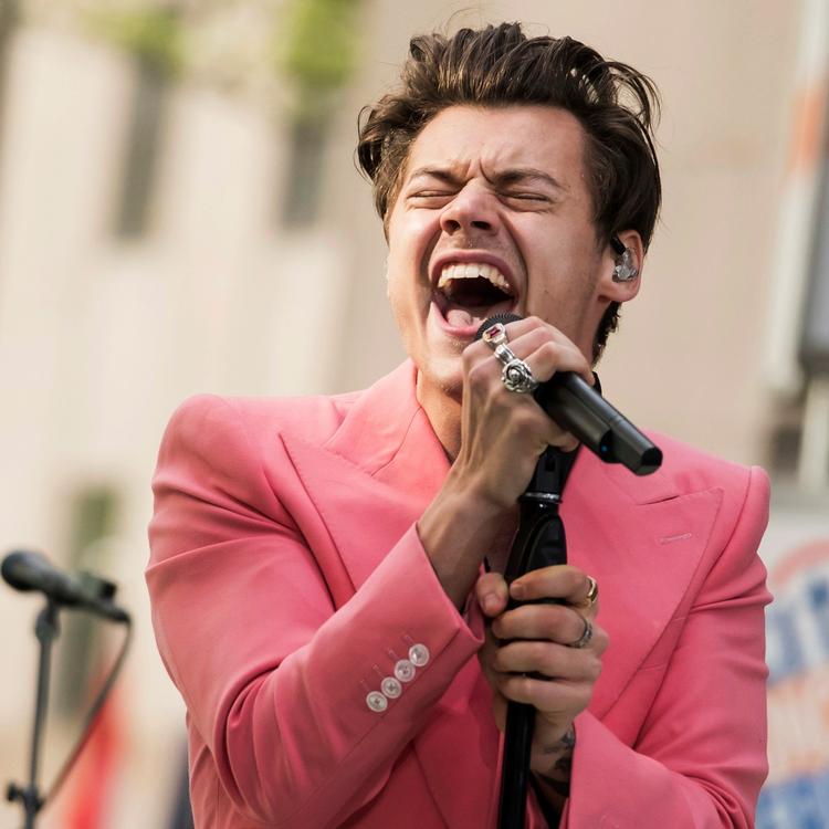 Der er sket meget for Harry Styles, siden han stod foran et skeptisk dommerpanel i det britiske talentprogram 'X Factor'.  