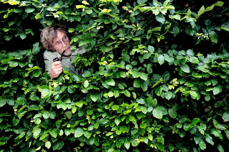 Ifølge Søren Ryge skal man ikke tænke haven som et hurtigt projekt, der skal tæmmes.  Arkivfoto: Lars Just