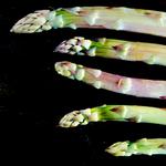 Så er det nu, der skal kokkereres med den grønne asparges.  