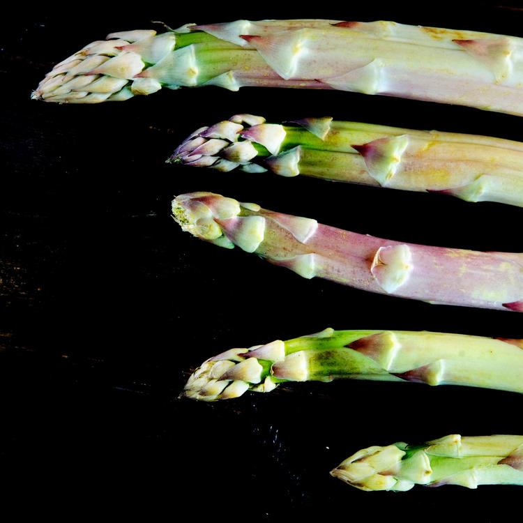 Så er det nu, der skal kokkereres med den grønne asparges.  