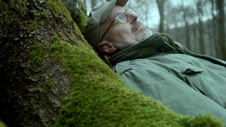 Den tyske forstmand og forfatter Peter Wohllebens bog om træernes hemmelige liv er blevet en bestseller i en række lande.  