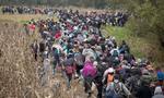 Migranter vandrer gennem Kroatien mod nord i sommeren 2015, da EU's grænsekontrol kollapsede. 