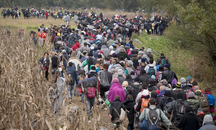 Migranter vandrer gennem Kroatien mod nord i sommeren 2015, da EU's grænsekontrol kollapsede. 