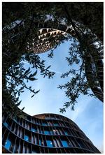 fot Lindhe_AT-19 L1040422 kopier