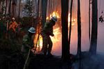 Portugal Forest Fires