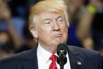 Nato-skeptisk Trump møder Stoltenberg i april
