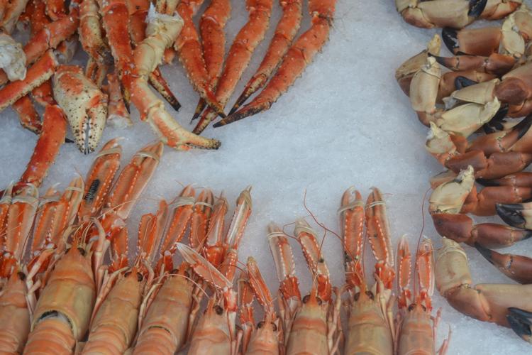 Skaldyr og fisk kan fanges med større eller mindre bifangster og skade i havmiljøet til følge. Men de mærkningsordninger, der skal vise forbrugerne ved til bæredygtig mad fra havet, er upræcise og dyre for fiskerne. 