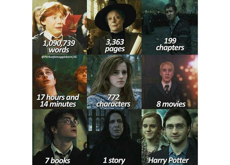 Dette er blot et af de mange Harry Potter-memes, der gik viralt på alle sociale medie-platforme i den forløbne uge. Det er 20 år siden, verden først stiftede bekendtskab med den unge troldmand.  