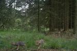 image0 7