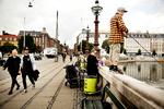 Oliver fra Solrød fisker i søerne i København, hvilket er ulovligt. Men der er faktisk en del steder i hovedstaden, hvor man kan fange sin egen aftensmad med krog og line. 
   