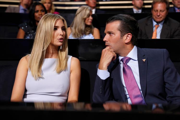Donald Trump Jr. har, at mødet med den russiske advokat fandt sted, og at han var interesseret i oplysninger, der kunne ramme Demokraternes præsidentkandidat, Hillary Clinton. 