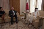 USA's udenrigsminister, Rex Tillerson, under et møde i sidste uge med Qatars emir, Sheikh Tamim Bin Hamad Al Thani i Doha. 