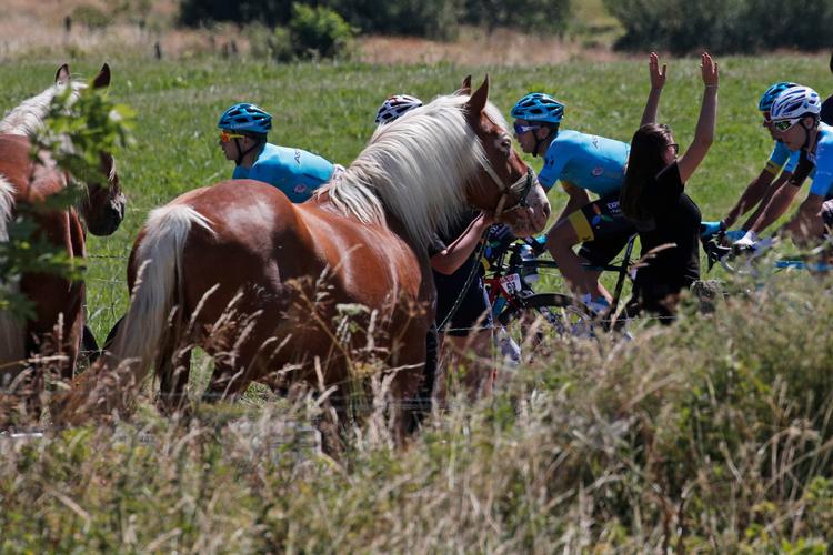France Cycling Tour de France