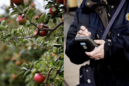 Arkivfoto Daniel Hjorth/Thomas Borberg