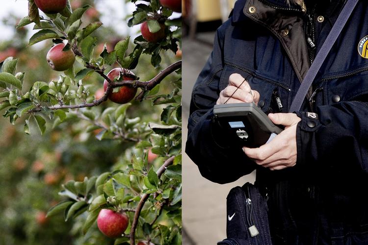 Arkivfoto Daniel Hjorth/Thomas Borberg