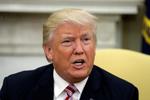 Trump Economist Fact Check