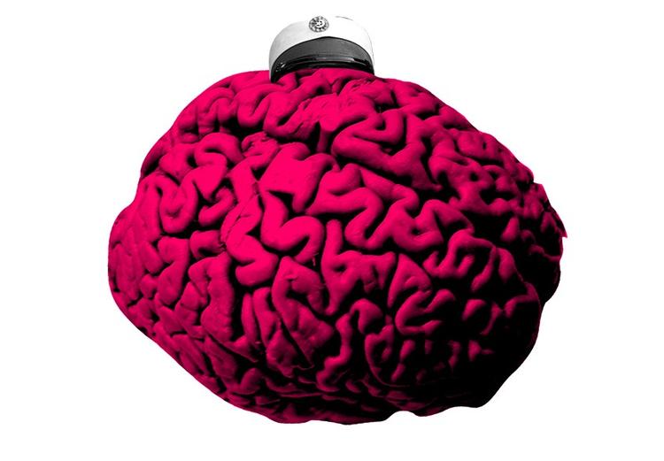 Alle de studerende vil i år have et gennemsnit, der sprænger karakterskalaen, når de starter på Marketing Management på Erhvervsakademi Sjælland i Roskilde. 