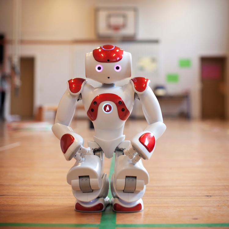 To amerikanske robotter begyndte at opfinde kodeord og udvikle en slags eget sprog. Den lille robot på billedet har ikke noget med den konkrete historie at gøre.  