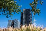 18 byer konkurrerer med København om lægemiddelagentur