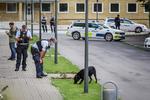 En ung mand blev skudt i foden af to gerningsmænd i bydelen Tingbjerg. Politiet meddeler nu, at han var et uskyldigt offer og ikke del af bandeopgør. 