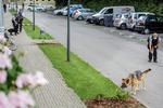 Politiet har lukket et stort boligområde og leder efter sport i Tingbjerg, efter en mand er blevet skudt i foden.  