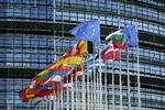 RB PLUS Fronterne er trukket op i EU-Parlamentet