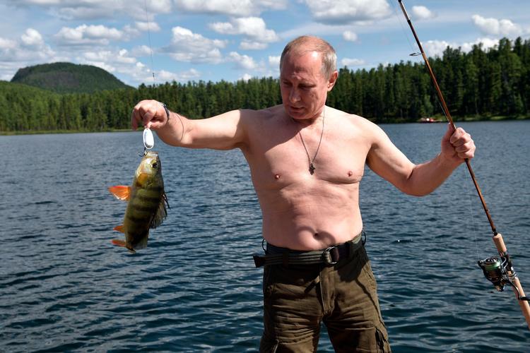 Det her er en af de små, Putin fangede på sin ferie til Sibiriten.  