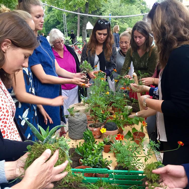 Kom forbi Byhavefestivalen og få gode råd til vinterklargøringen af altanen, kæl en høne og lav mad med insekter.  